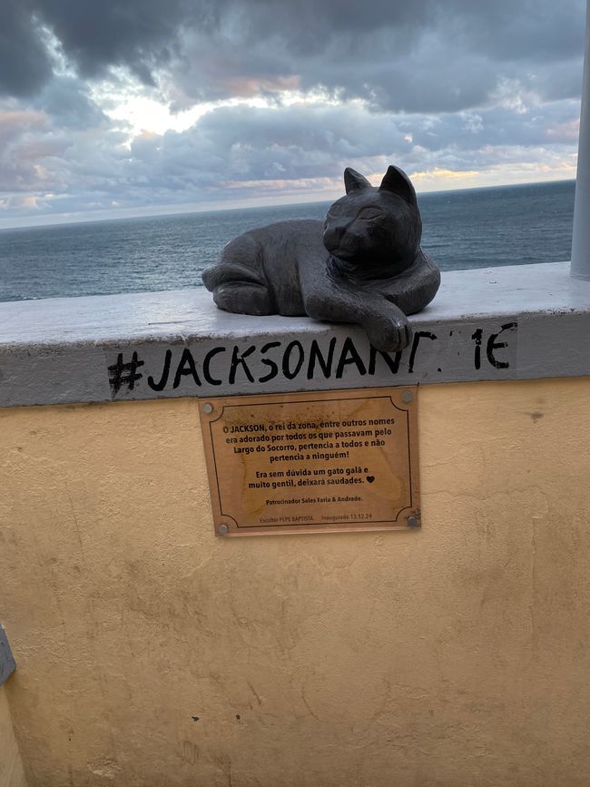 Der Kater liegt auch nach seiner Zeit noch auf seinem Lieblingsplatz