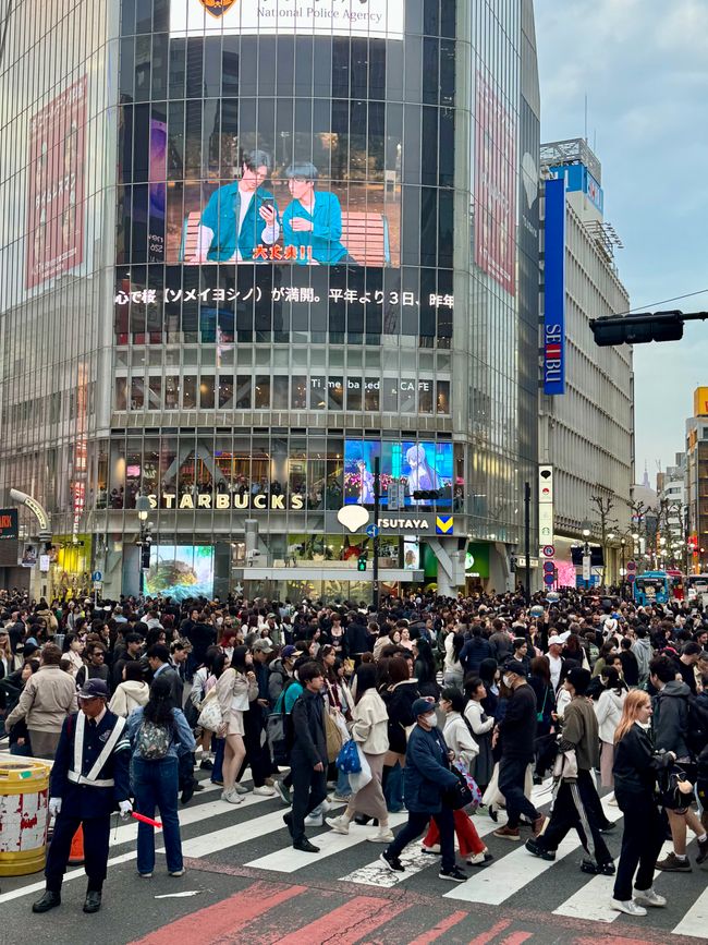 Parte 7
BENVENUTO IN GIAPPONE 🇯🇵
TOKYO