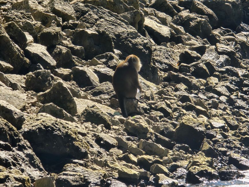 Langkawi - Reif für die Insel!