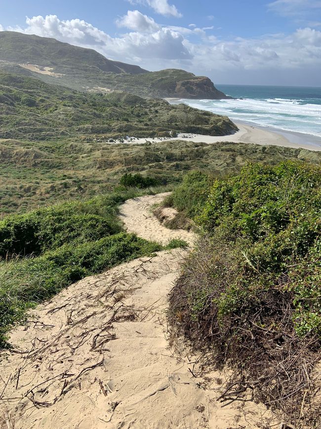 Path to Sandfly Beach