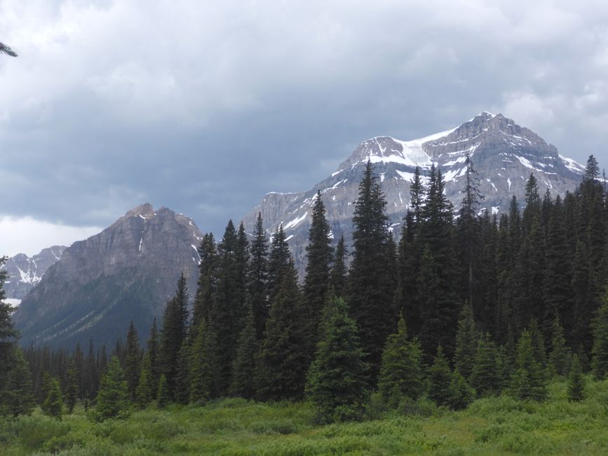 2025-06-30 Bow Parkway verso Banff