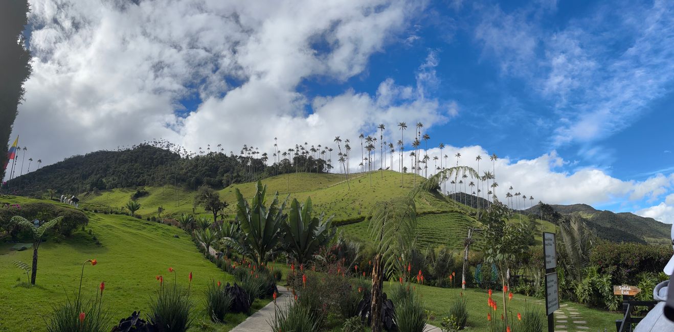 Cocora Valley