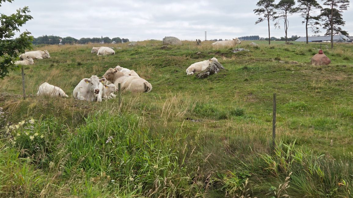 Von Stavanger - Egersund