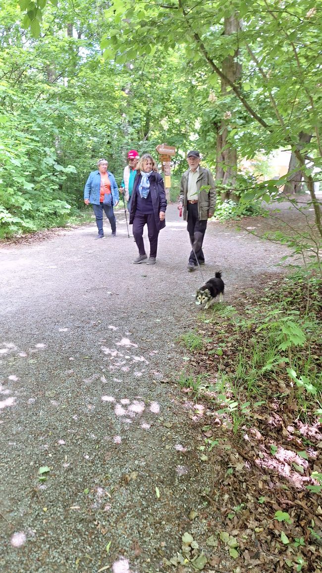 Radeln zum Rosengarten