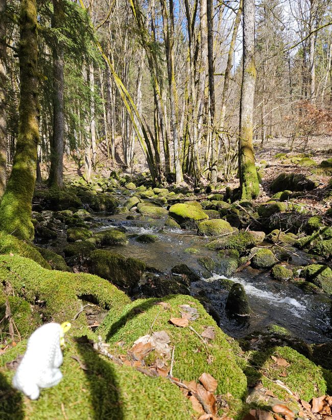 An der Moorbrücke am Moorbach