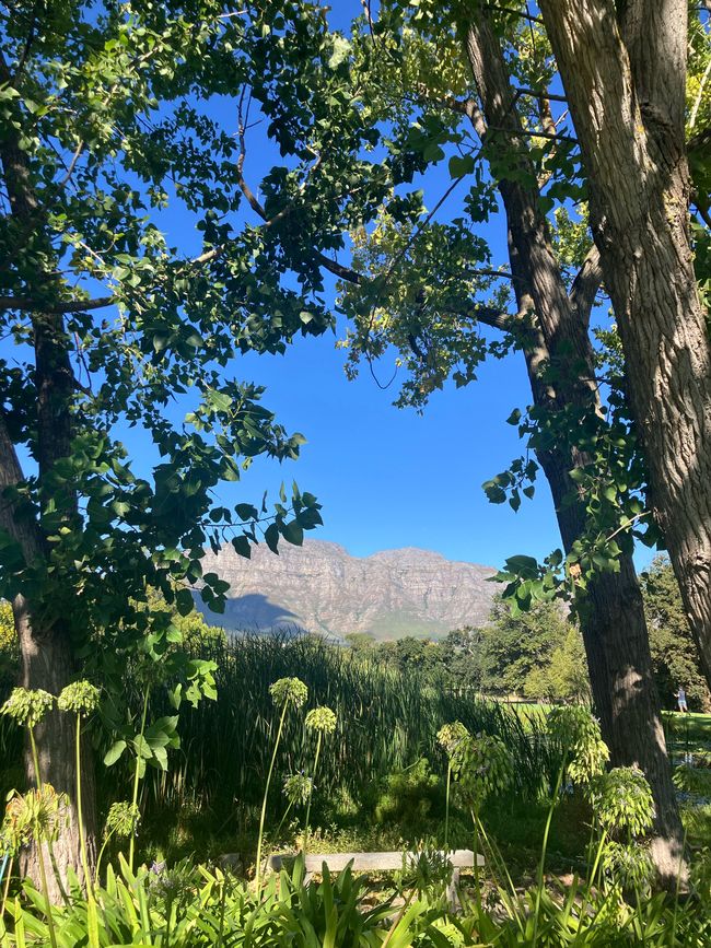 Kap-Halbinsel und Stellenbosch