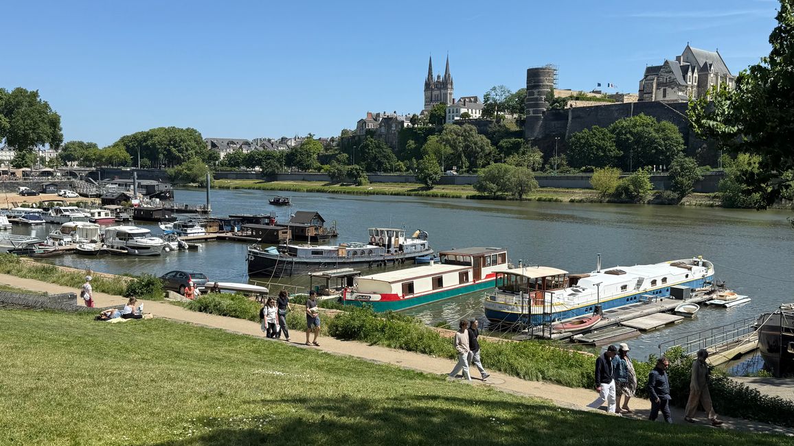 Angers Moderna