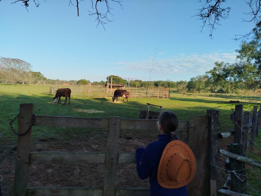 Paraguay_Caacupe_Aventura_Ranch (Juli 2025)