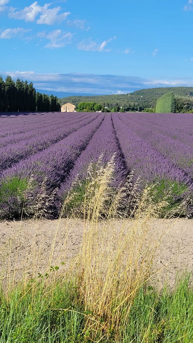 
L‘Isle-sur-la-Sorgue
Gordes (Provence)