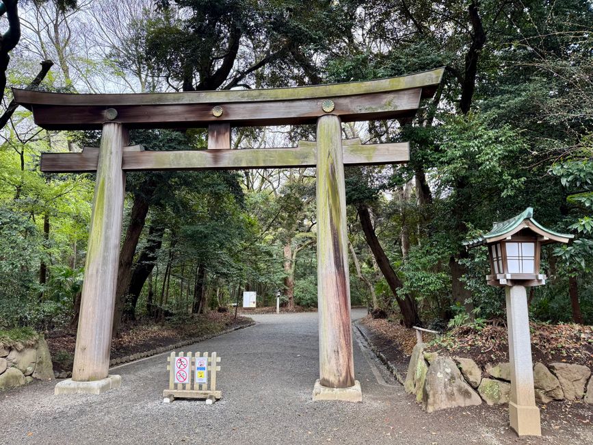 Parte 7
BENVENUTO IN GIAPPONE 🇯🇵
TOKYO