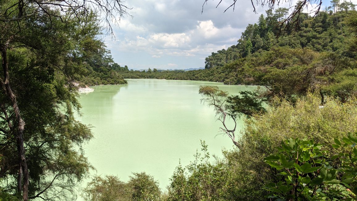 Wai-O-Tapu / Rotorua