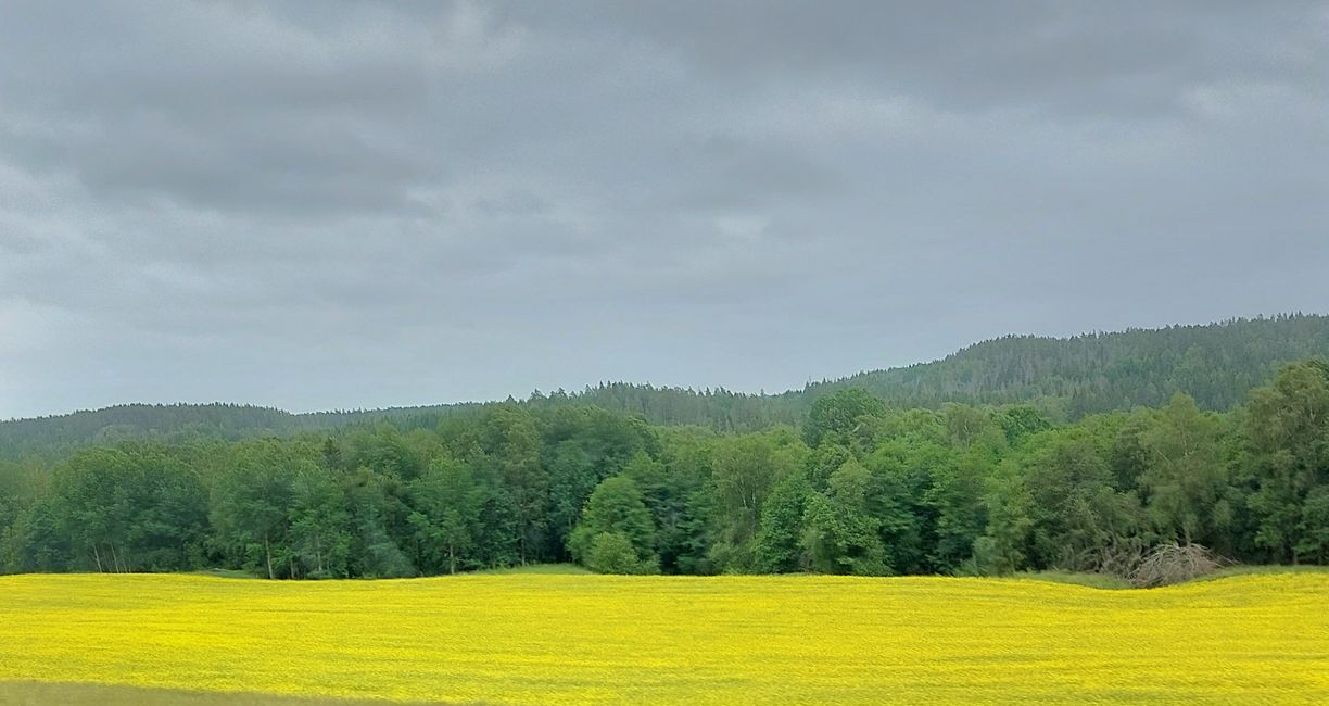 South Sweden Tour - Day 18