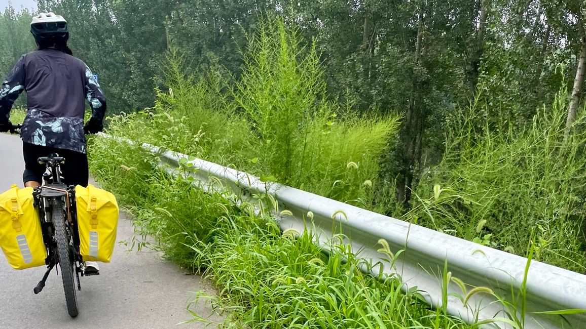 ...und der kaum befahrenen Straße