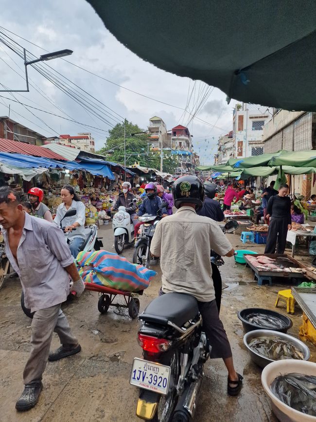 "Der weite Weg der Hoffnung"