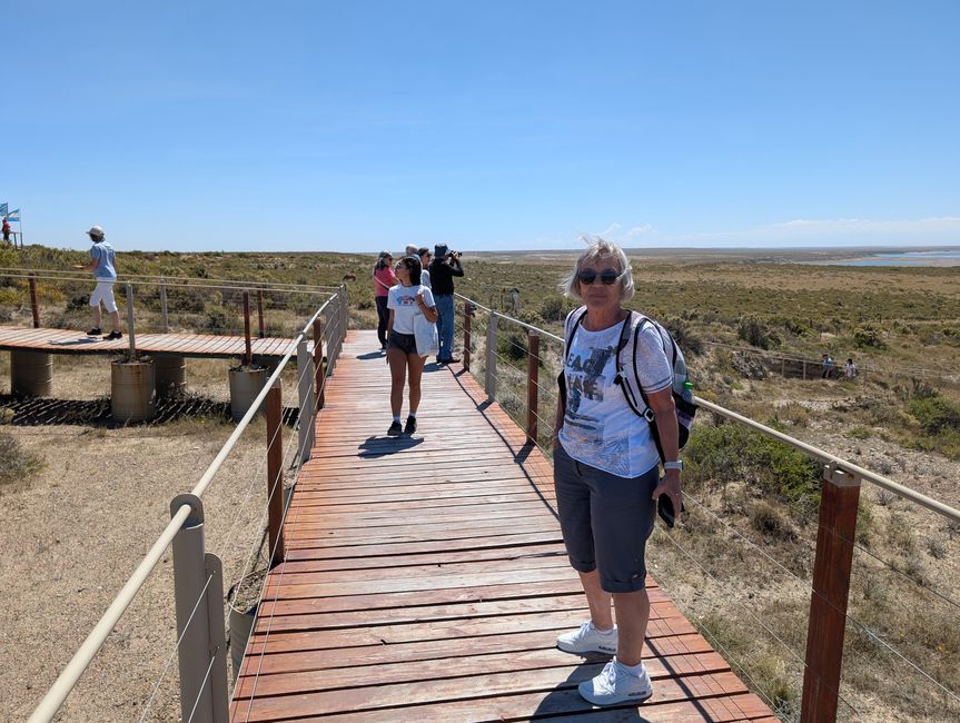 25. Day 29.1.25 Puerto Madryn