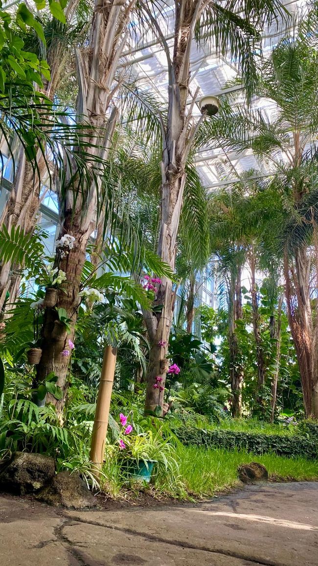 After the Spreewald came the high of excitement