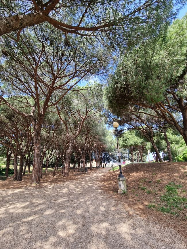 In der Festungsanlage befindet sich ein öffentlicher Park
