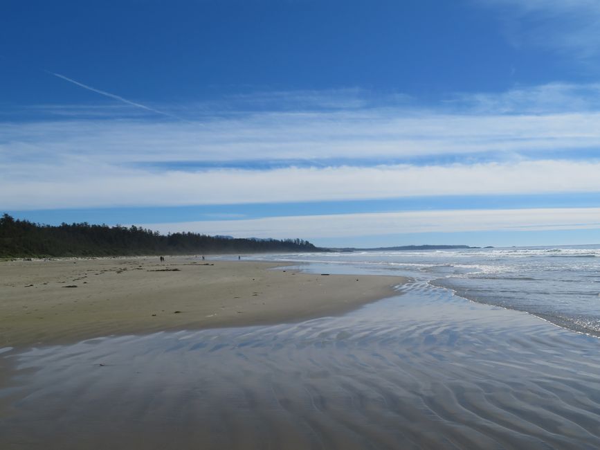 Tofino