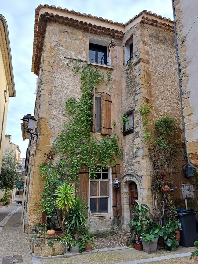 Beaumes-de-Venise