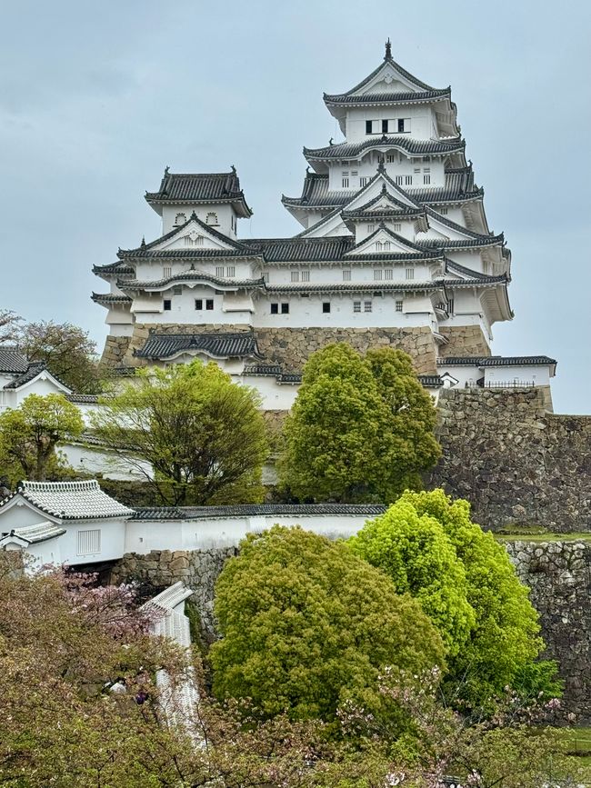 Part 9 Japan 🇯🇵 Osaka
