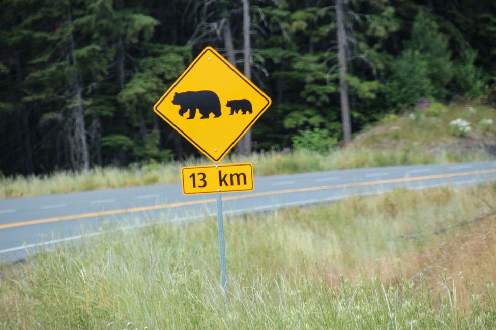 Bear Glacier