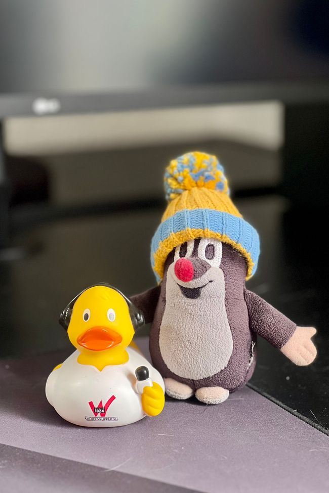 Auf Auf, DĂ€nemark wartet