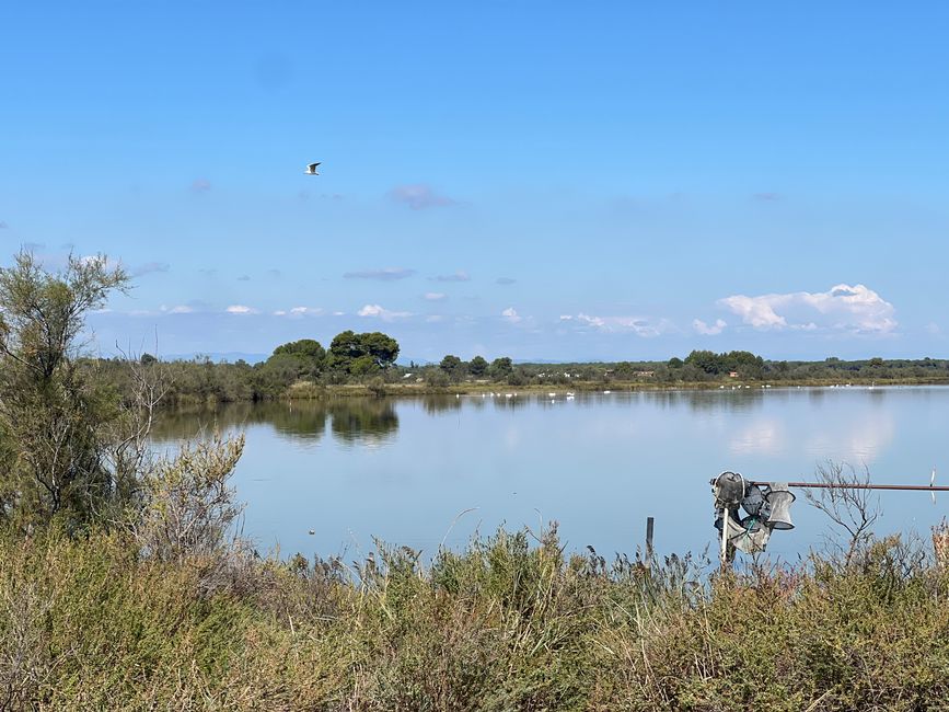 06 to Aigues Mortes