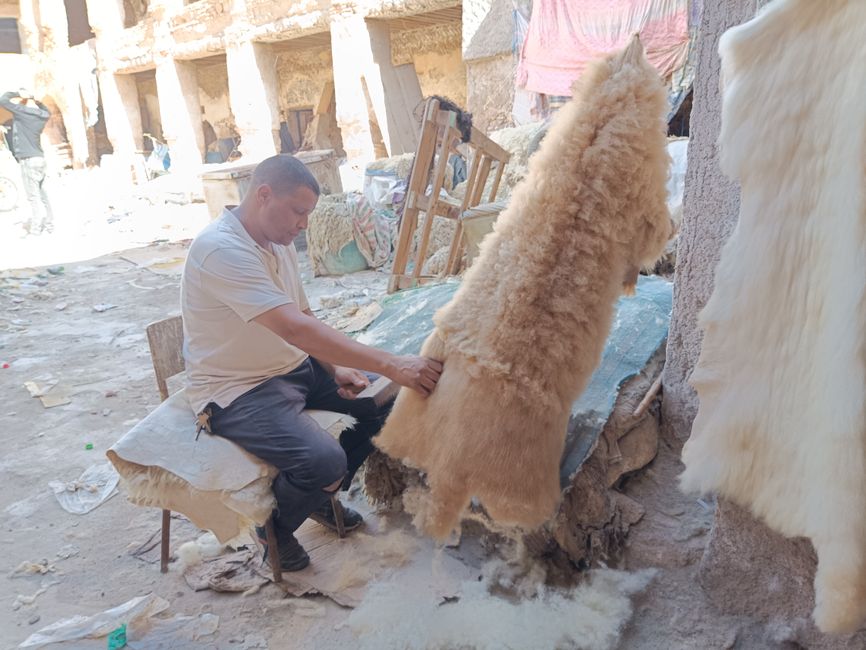 Verloren in der Medina