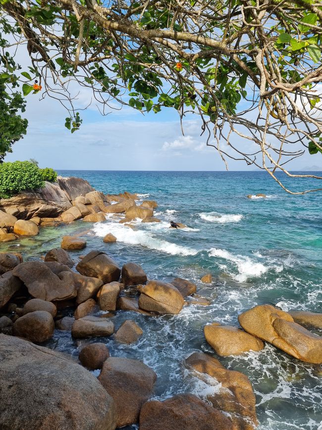 Tansania -> Seychellen - Tag 1: Anreise