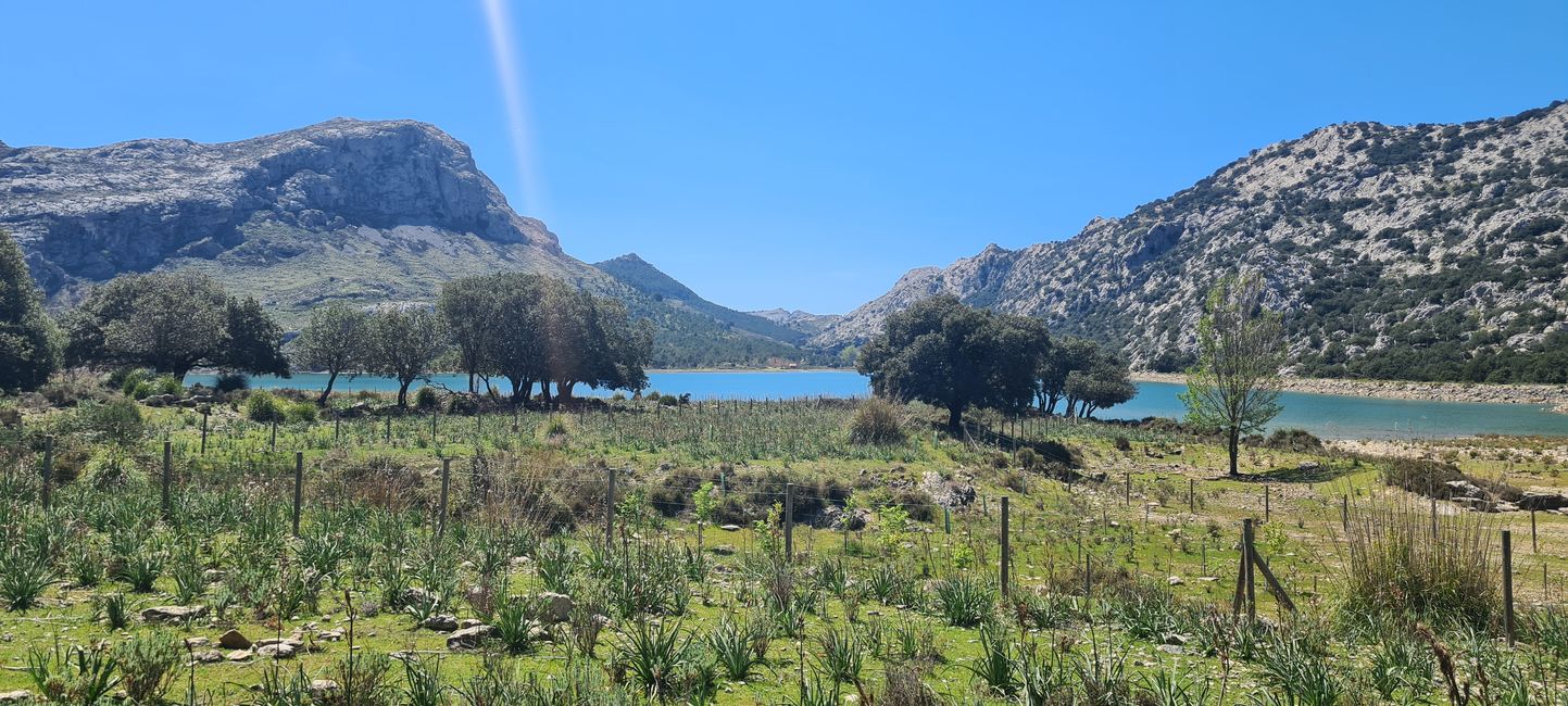 Die Königsetappe von Soller nach Refugi Tossals Verds