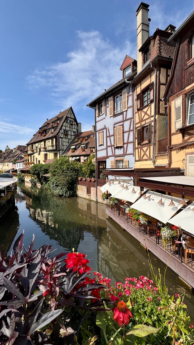 Colmar