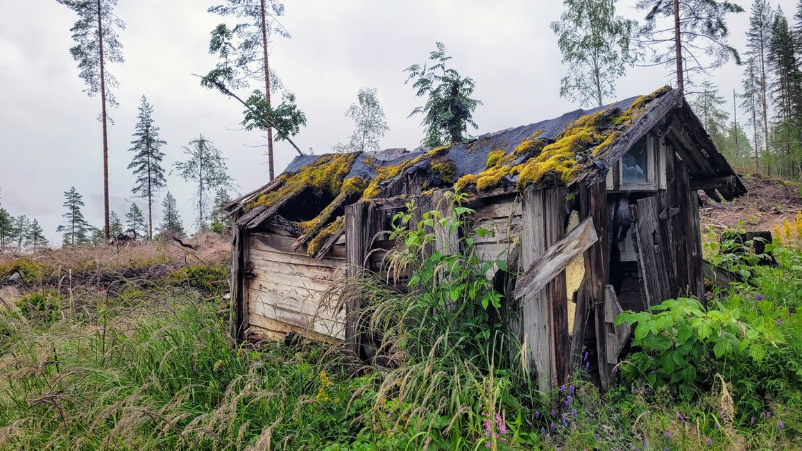 Oslo Gjøvik 9-16 de julio de 2024/10 de julio