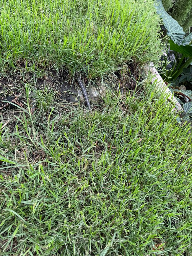 Der Trick mit dem Dach