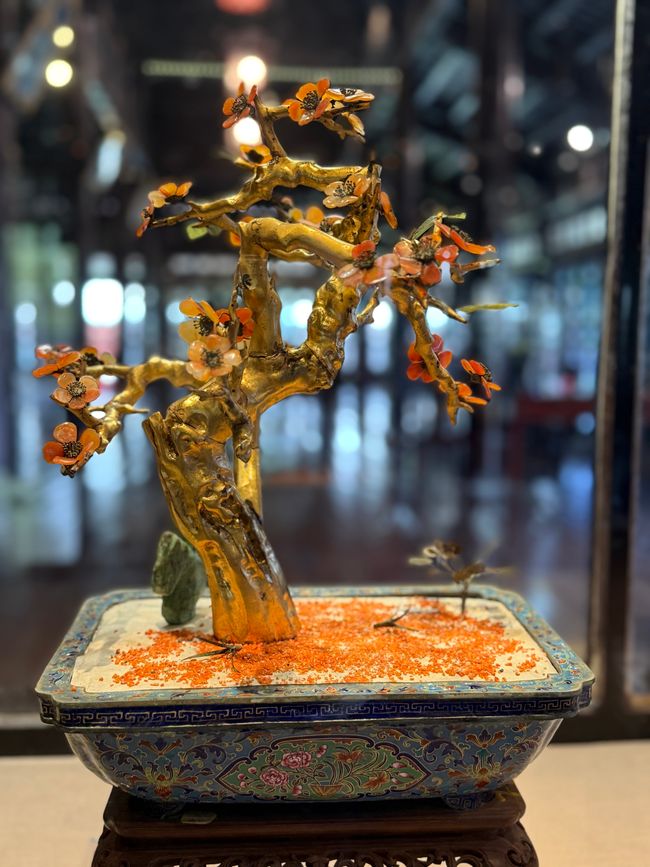 Bonsai