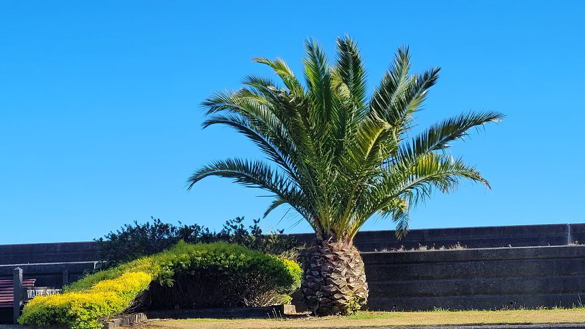 29.Januar-27.Februar 2025 Neuseeland
15.Januar