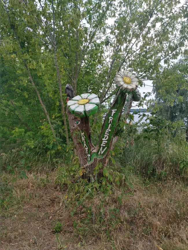 Tag 2 Grenzgang (Bergwitzsee)