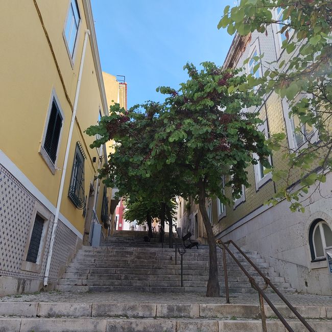 Lisbon