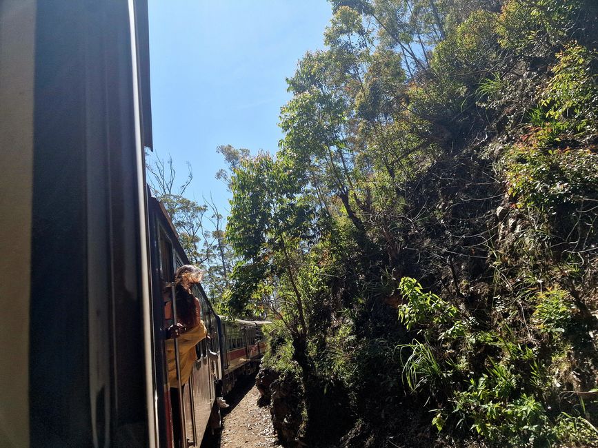 Train ride