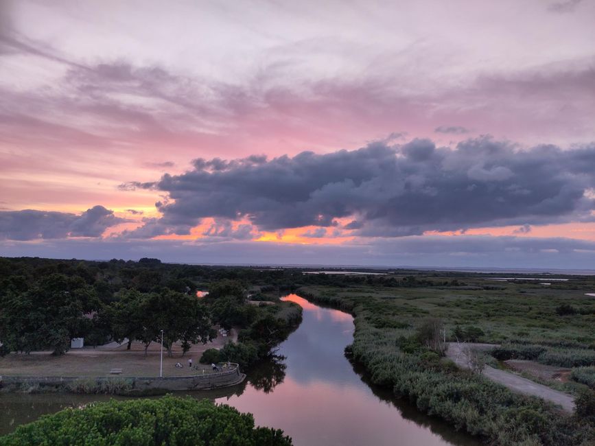 Le Teich