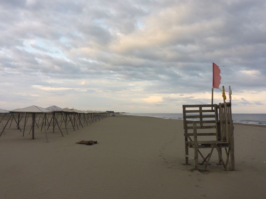 Frühe Wanderung am Strand 