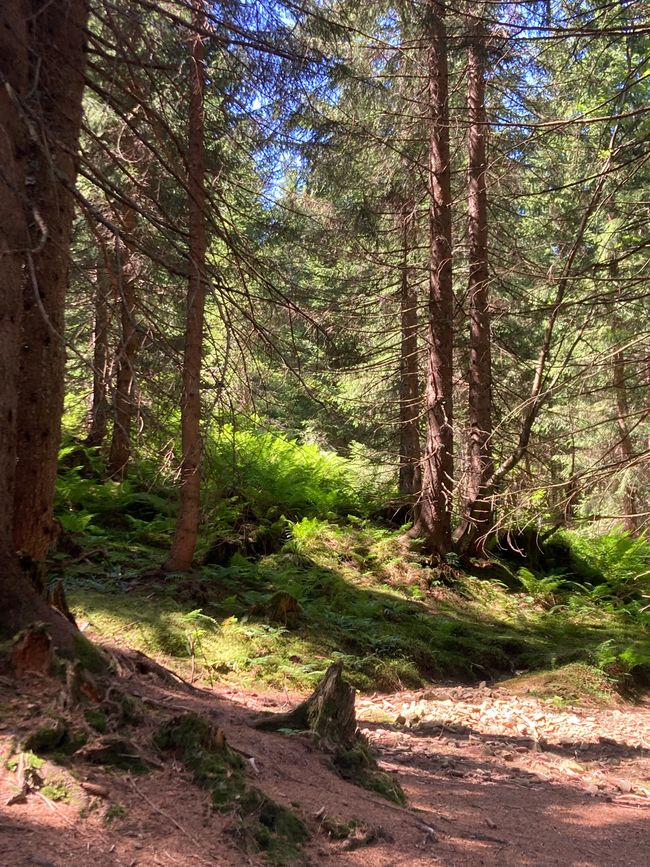 Genusswanderung zum Wertacher Hörnle