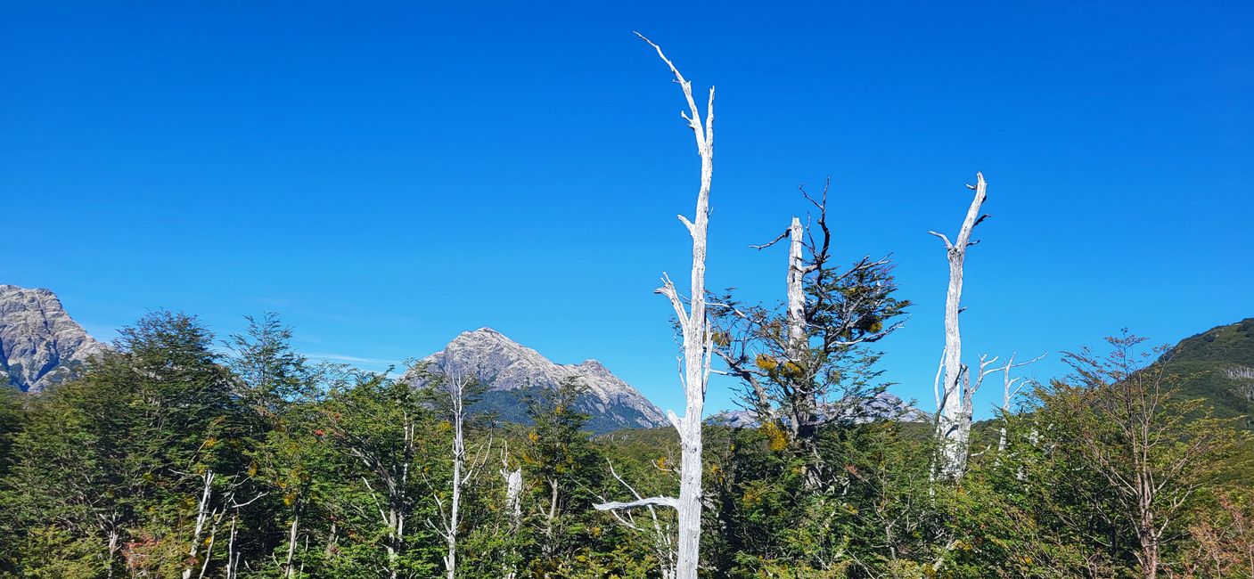 Von El Bolson nach Osorno
