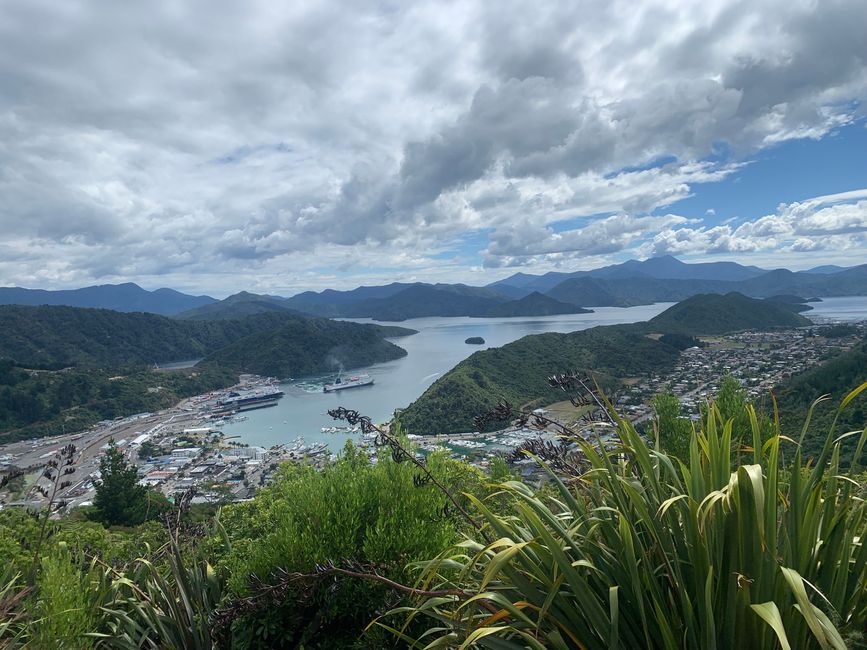 15_PICTON