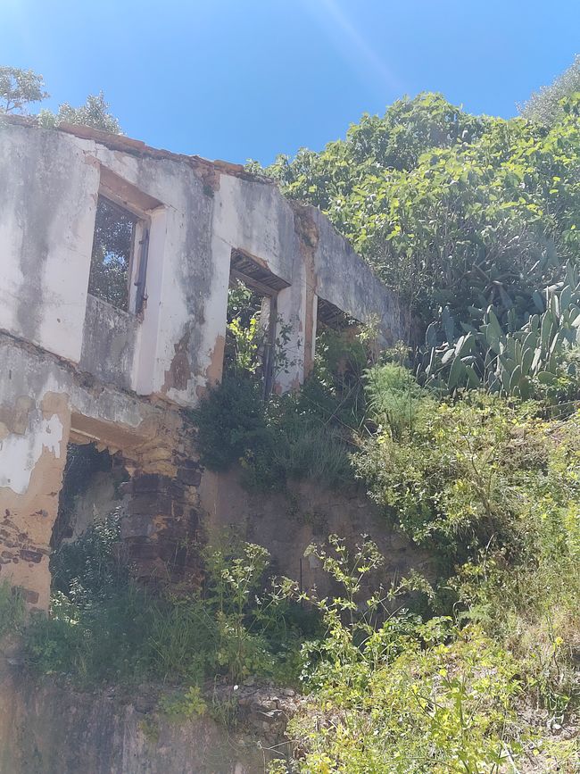Arrifana -> Aljezur