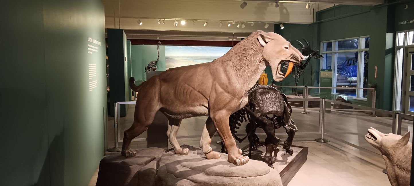Museum of natural history I
