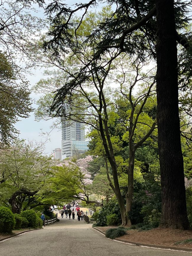 Shinjuku Gyoen Park