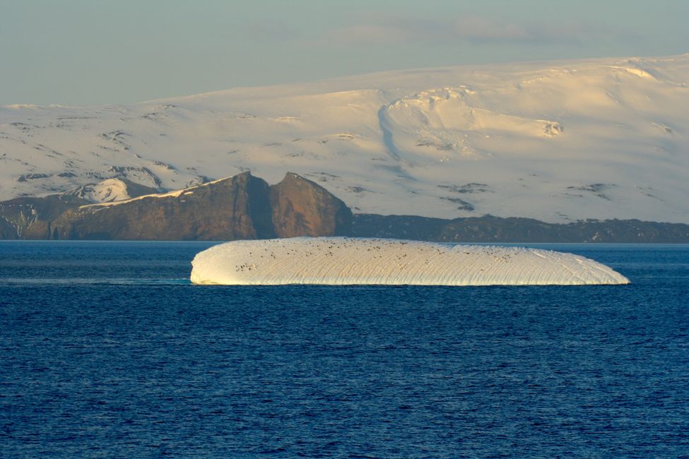 Des icebergs tabulaires, les petits points sont des pingouins