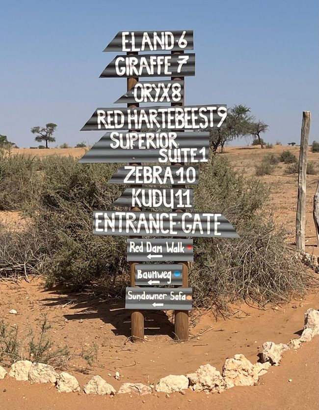 Namibia 2024: Auf in die Kalahari Wüste