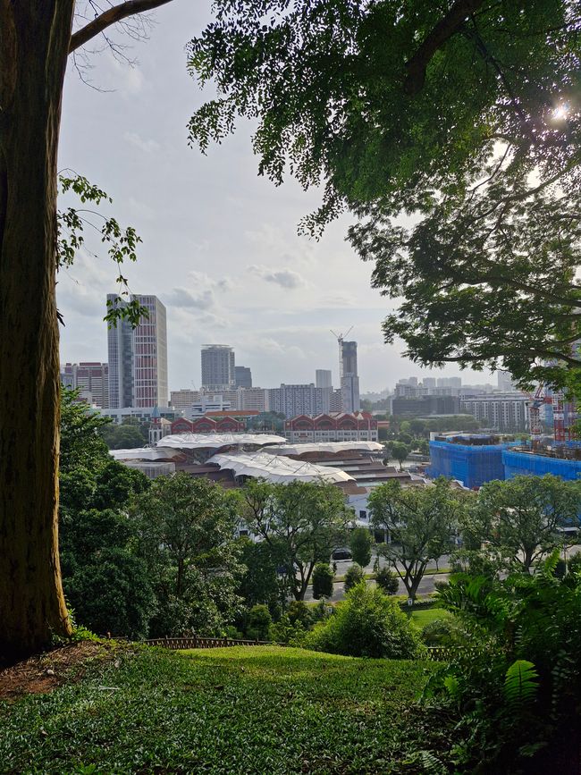 Ausblick auf Singapur
