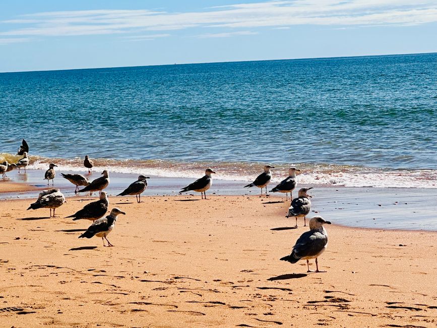 Ein Tag am Meer: Strandspaziergang in Albufeira